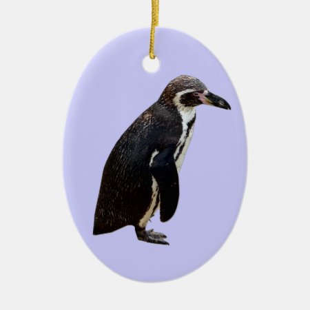 Humboldt Penguin Hanging Pendant Ornament