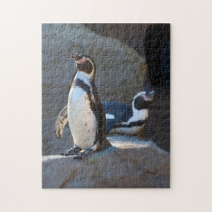 Humboldt Penguin Jigsaw puzzle