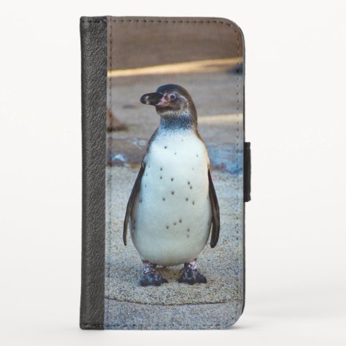 Humboldt Penguin Phone wallet case