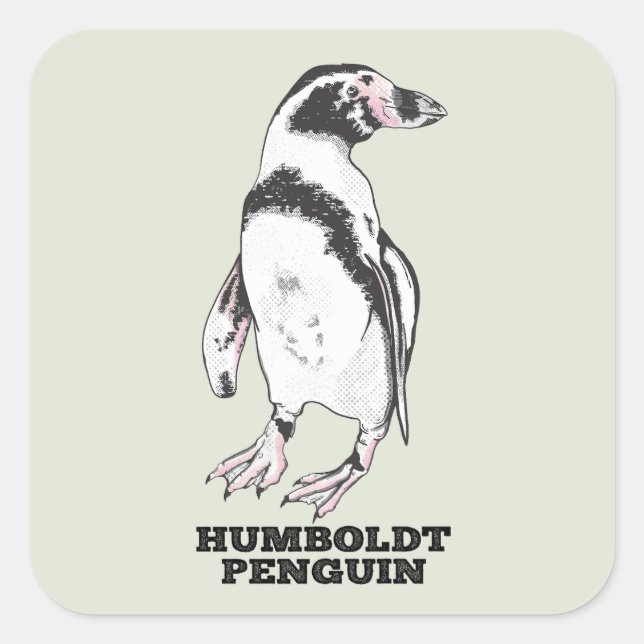 Humboldt penguin square sticker (Front)