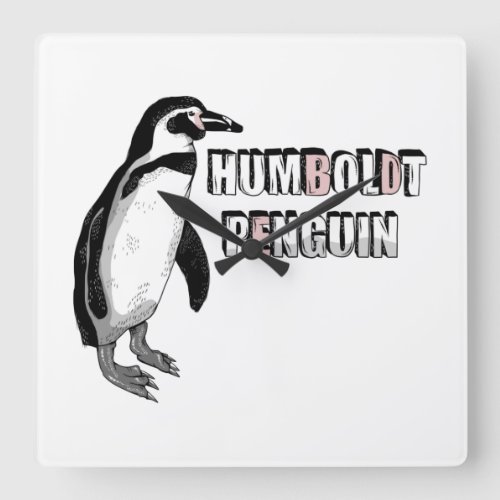 Humboldt penguin square wall clock