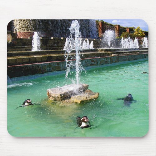 Humboldt penguins and fountains bird mouse pad