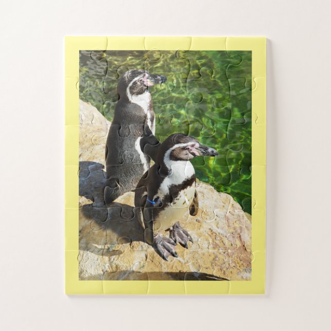 Humboldt penguins jigsaw puzzle (Vertical)