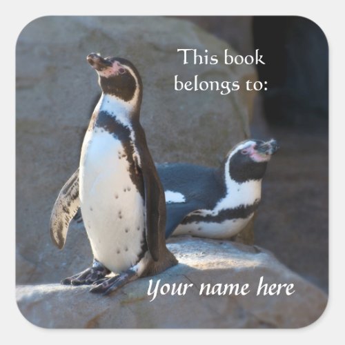 Humboldt Penguins This book belongs to Sticker