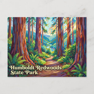 Humboldt Redwoods State Park California Postcard