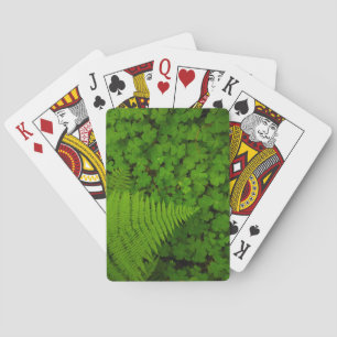 Humboldt Redwoods State Park Poker Cards