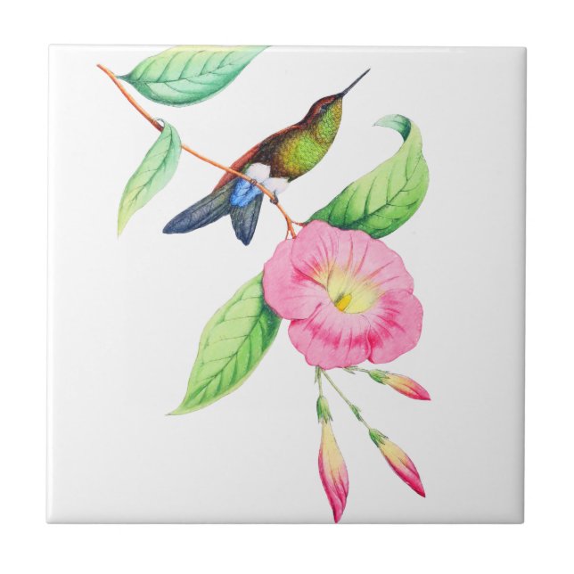 Humingbird And Hybiscus Ceramic Tile (Front)
