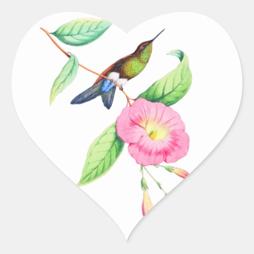 Humingbird And Hybiscus Heart Sticker