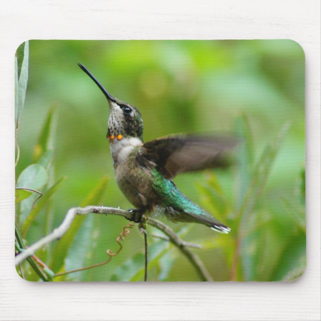 Humm for the Mouse! Mouse Pad (Front)