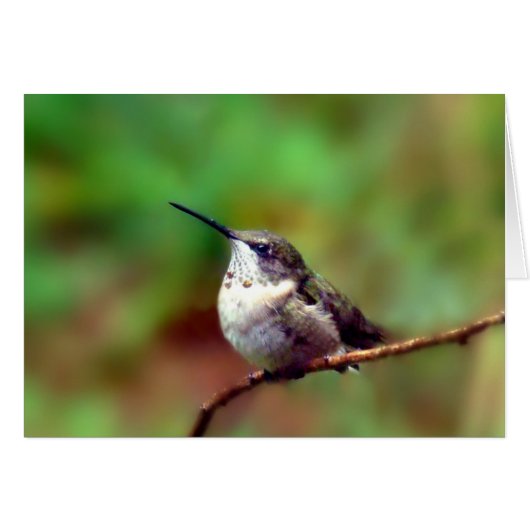Hummer at Rest Cards (Front Horizontal)
