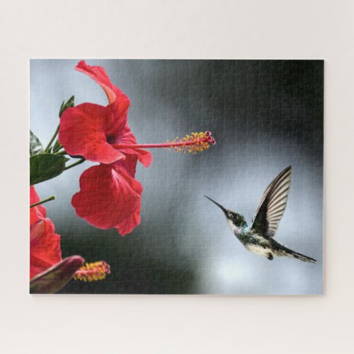 Humming Bird and Red Flower Jigsaw Puzzle