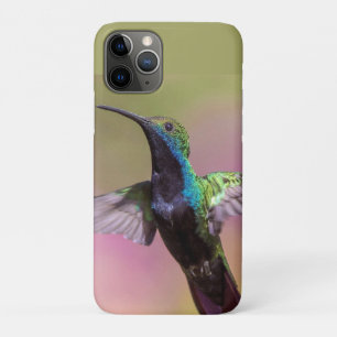 Humming Bird iPhone 11 Pro Case