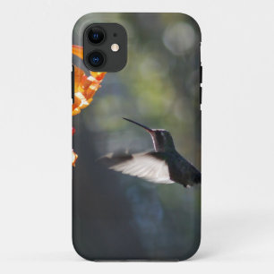 Humming Bird iPhone 11 Case