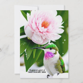 Humming Bird in the Snow - Flat Card