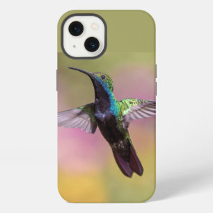 Humming Bird iPhone 13 Case