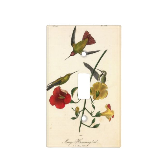 Humming Bird - Light Switch Cover (Front)