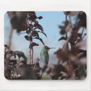 Humming Bird Mouse Pad