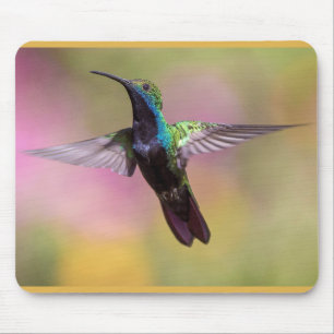 Humming Bird Mouse Pad