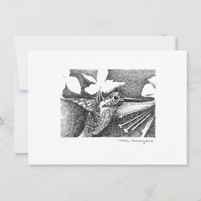 Humming Bird Pen and Ink Note Card (Front)