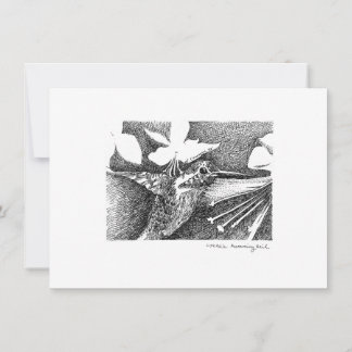 Humming Bird Pen and Ink Note Card