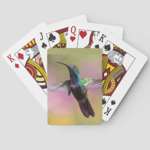 Humming Bird Poker Cards