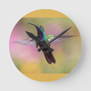 Humming Bird Round Clock