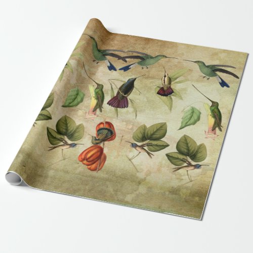 Humming Birds Animal Wildlife Nature Collage Art Wrapping Paper