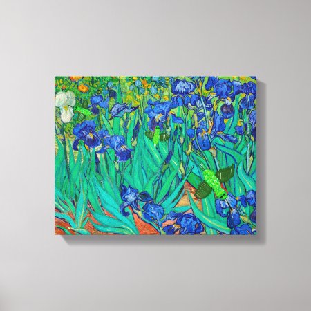 Humming Birds On Vangough Blue Irises Canvas Print