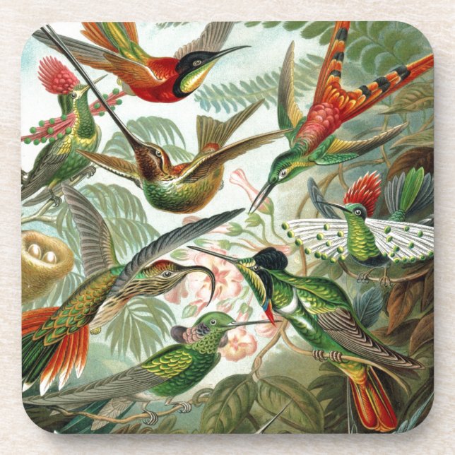 Humming Birds Paradise art Drink Coaster (Front)