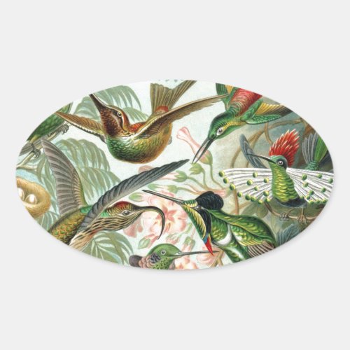 Humming Birds Paradise art Oval Sticker