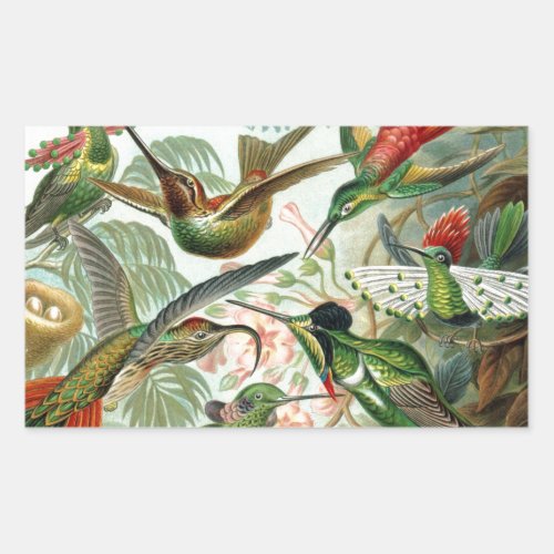 Humming Birds Paradise art Rectangular Sticker