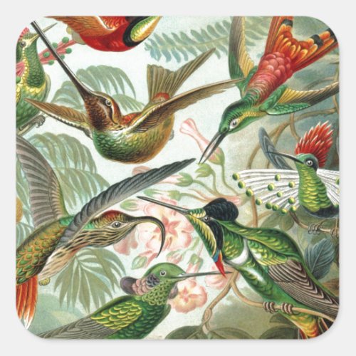 Humming Birds Paradise art Square Sticker