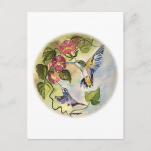 Humming Birds Postcard