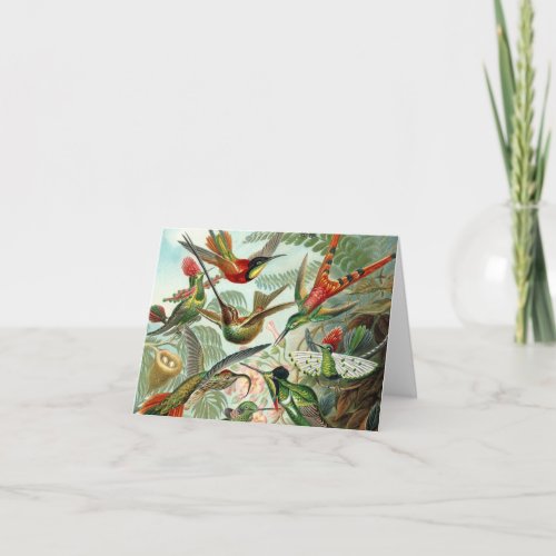 Humming birds vintage art colorful blank note card