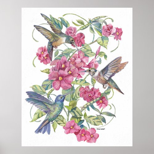 HUMMING BIRDS WITH PINK FLOWERS POSTER
