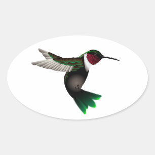 Humming oval sticker