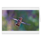 Hummingbird (Front Horizontal)