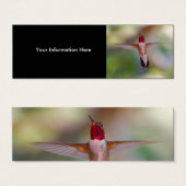 hummingbird (Front & Back)