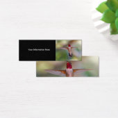 hummingbird (Desk)