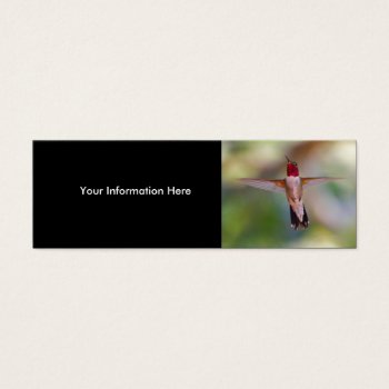 Hummingbird by WorldDesign at Zazzle