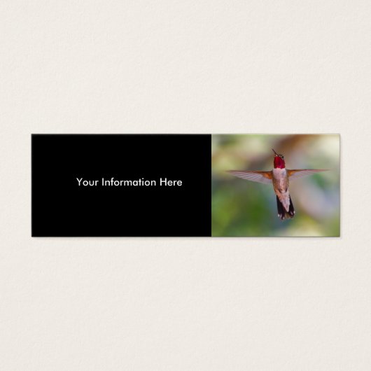 hummingbird (Front)