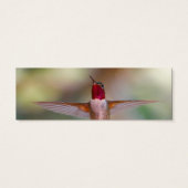 hummingbird (Back)