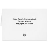 Hummingbird095 Cards (Back Horizontal)