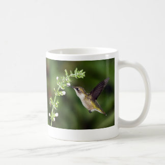 Hummingbird 10 Mug