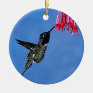 Hummingbird [1] ceramic ornament