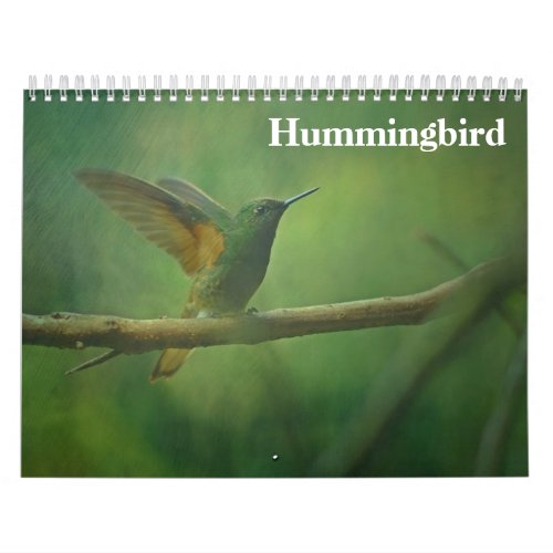 Hummingbird 2024 calendar