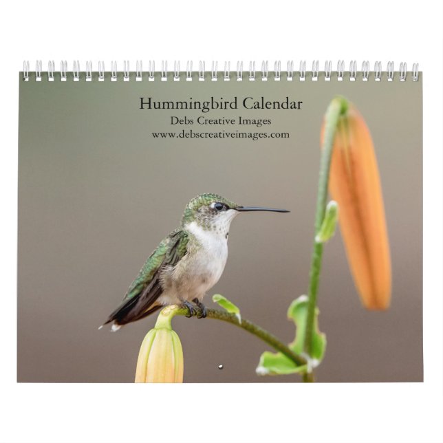 Hummingbird 2026 Calendar Wildlife by Debbie Quick (Cover)