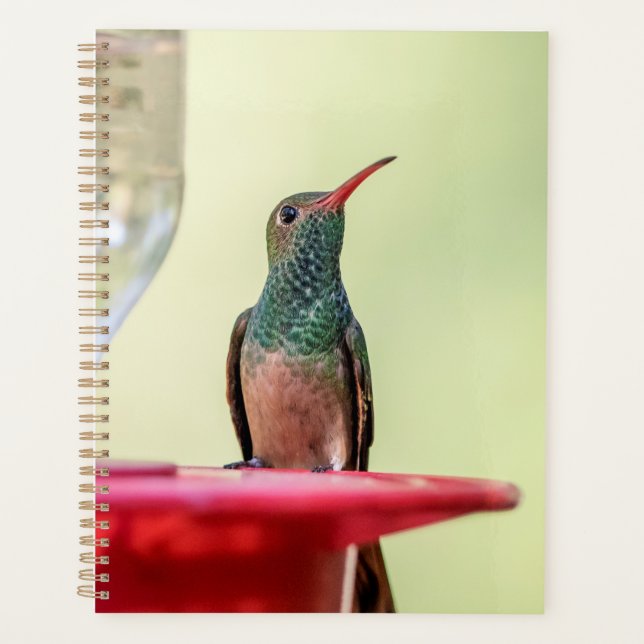 Hummingbird 2026 Planner | Migratory Bird (Front)