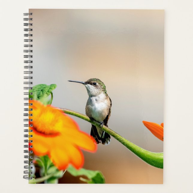Hummingbird 2026 Planner | Migratory Bird (Front)