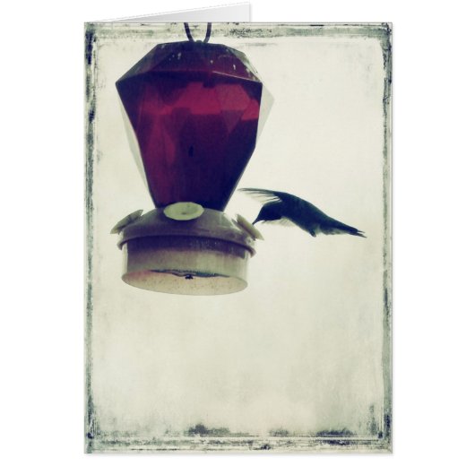 Hummingbird 2 cards (Front)